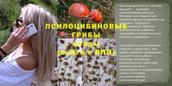 PSILOCYBIN Арсеньев