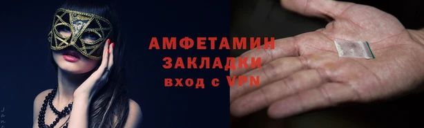 индика Аркадак