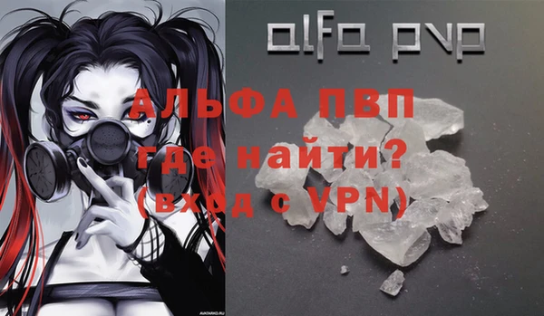 индика Аркадак