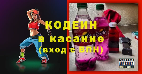 индика Аркадак