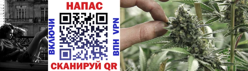 omg зеркало Сураж Конопля Bruce Banner где купить наркотик